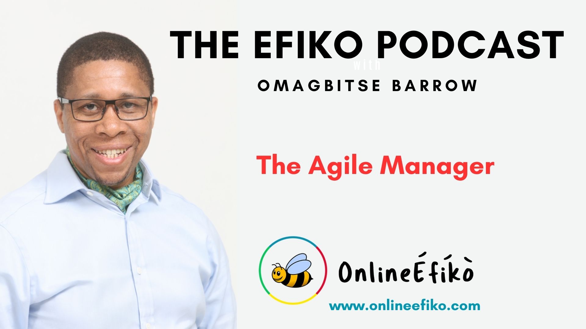 The Agile Manager