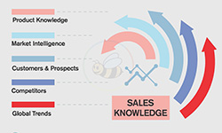 Sales Knowledge